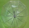 Прозрачный зонт трость Universal арт. 313 