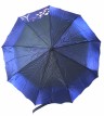Женский зонт полуавтомат  хамелеон «Париж»