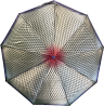 Женский зонт автомат (536)